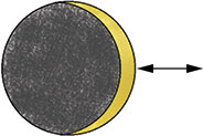 Cross section of WhizIn Insert